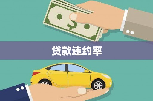 卑南贷款违约率