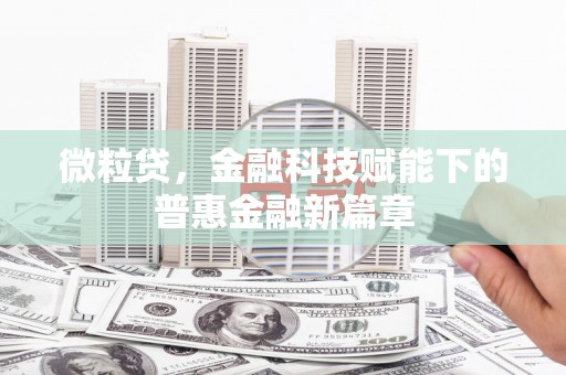 新泰微粒贷，金融科技赋能下的普惠金融新篇章