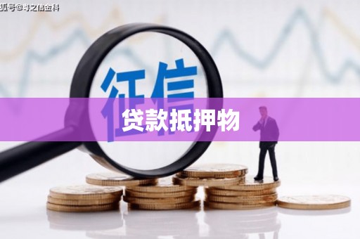巧家贷款抵押物