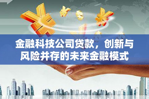 雨花金融科技公司贷款，创新与风险并存的未来金融模式