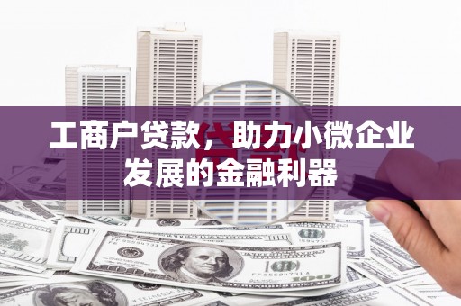 丰顺工商户贷款，助力小微企业发展的金融利器