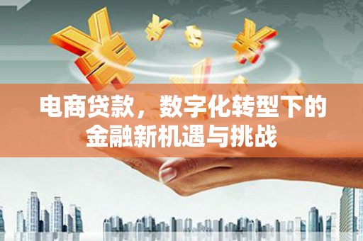 洋县电商贷款，数字化转型下的金融新机遇与挑战