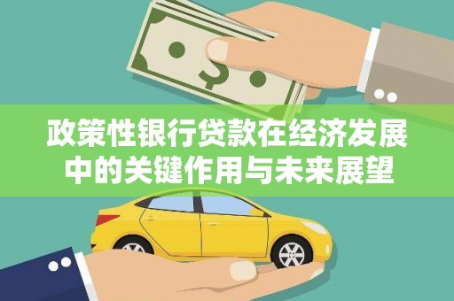 张湾政策性银行贷款在经济发展中的关键作用与未来展望