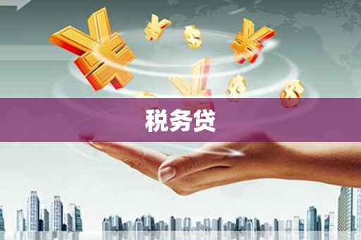 双台子税务贷