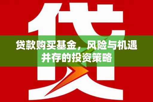 芦淞贷款购买基金，风险与机遇并存的投资策略