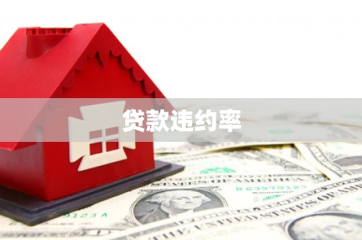 洋县贷款违约率