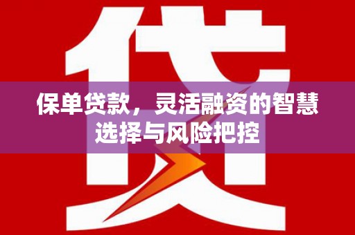 安居保单贷款，灵活融资的智慧选择与风险把控