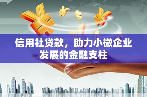 温州信用社贷款，助力小微企业发展的金融支柱