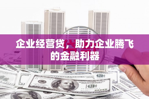 于田企业经营贷，助力企业腾飞的金融利器
