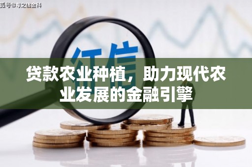 盖州贷款农业种植，助力现代农业发展的金融引擎