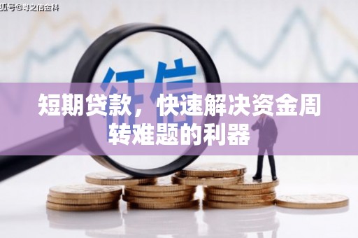 芦山短期贷款，快速解决资金周转难题的利器