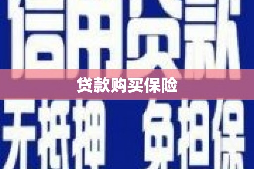 黑山贷款购买保险
