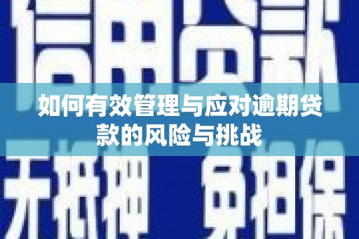 茄萣如何有效管理与应对逾期贷款的风险与挑战