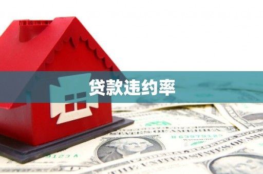 海陵贷款违约率