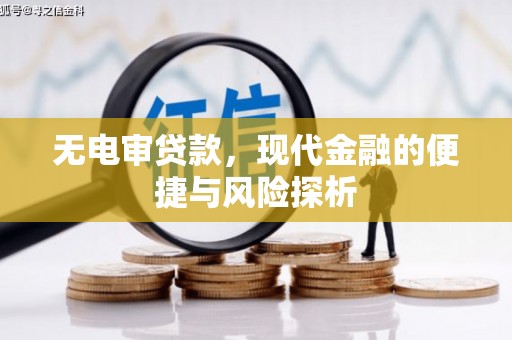 维西无电审贷款，现代金融的便捷与风险探析