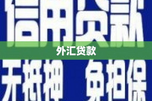 贡寮外汇贷款