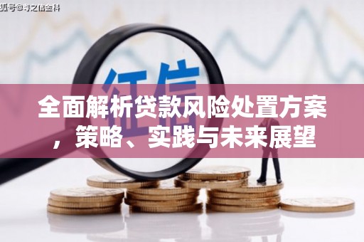 平舆全面解析贷款风险处置方案，策略、实践与未来展望