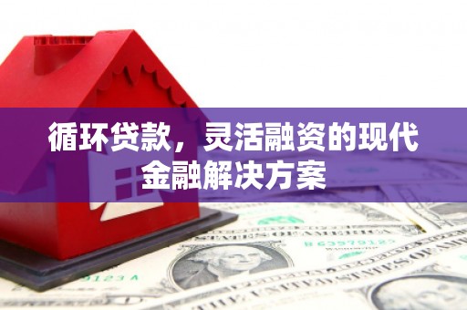 阳春循环贷款，灵活融资的现代金融解决方案