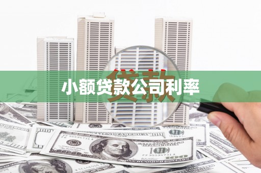 金峰小额贷款公司利率
