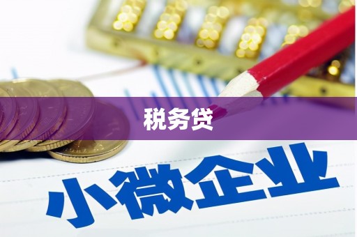 两当税务贷