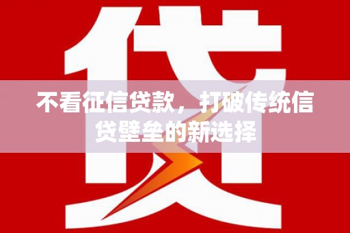 暖暖不看征信贷款，打破传统信贷壁垒的新选择