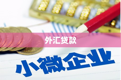 大祥外汇贷款