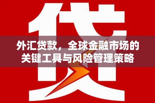贾汪外汇贷款，全球金融市场的关键工具与风险管理策略