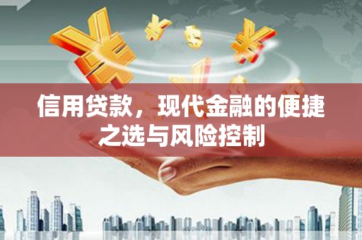 宁城信用贷款，现代金融的便捷之选与风险控制