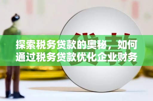 南化探索税务贷款的奥秘，如何通过税务贷款优化企业财务