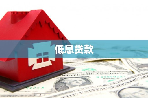海港低息贷款