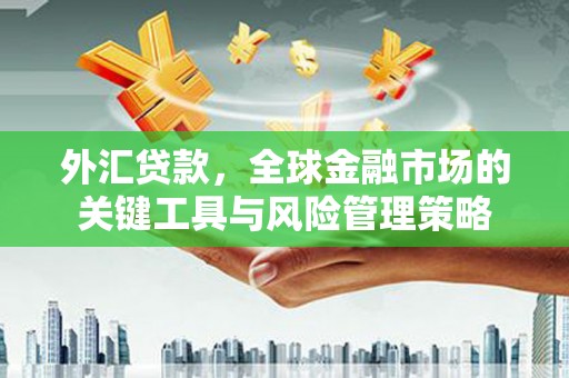 卢氏外汇贷款，全球金融市场的关键工具与风险管理策略