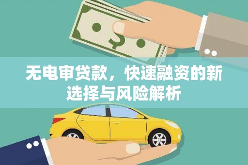 留坝无电审贷款，快速融资的新选择与风险解析