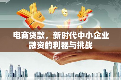 原州电商贷款，新时代中小企业融资的利器与挑战