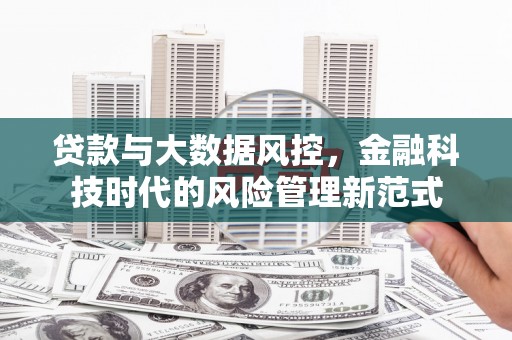 乐东贷款与大数据风控，金融科技时代的风险管理新范式
