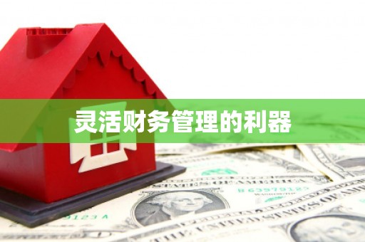余庆灵活财务管理的利器