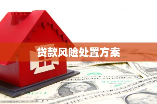 蒲城贷款风险处置方案