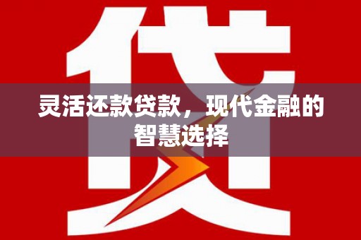 泰山灵活还款贷款，现代金融的智慧选择