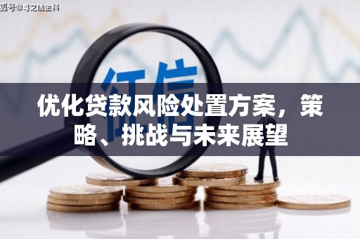 中区优化贷款风险处置方案，策略、挑战与未来展望