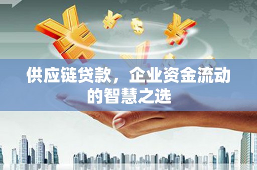 桥东供应链贷款，企业资金流动的智慧之选