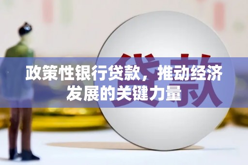 晋宁政策性银行贷款，推动经济发展的关键力量