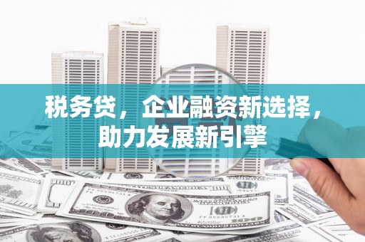丰顺税务贷，企业融资新选择，助力发展新引擎