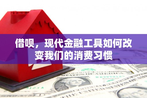 济源借呗，现代金融工具如何改变我们的消费习惯