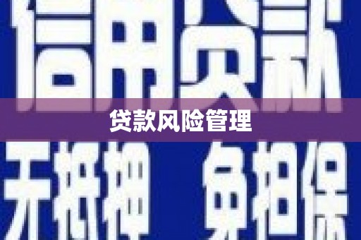 丽水贷款风险管理