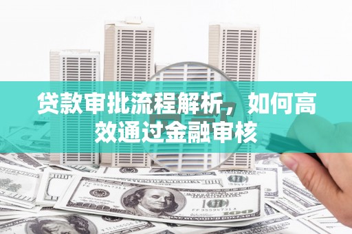 民和贷款审批流程解析，如何高效通过金融审核