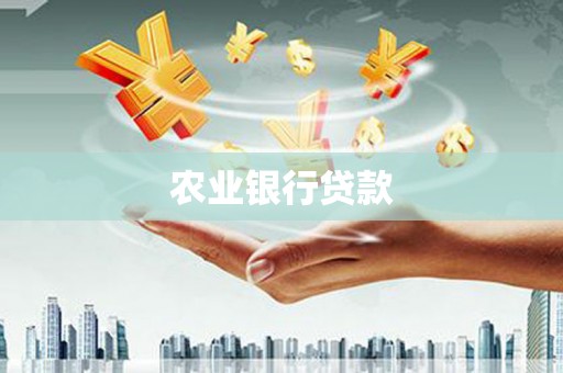 横山农业银行贷款