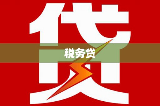 宜君税务贷