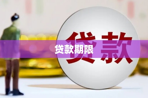 聂荣贷款期限