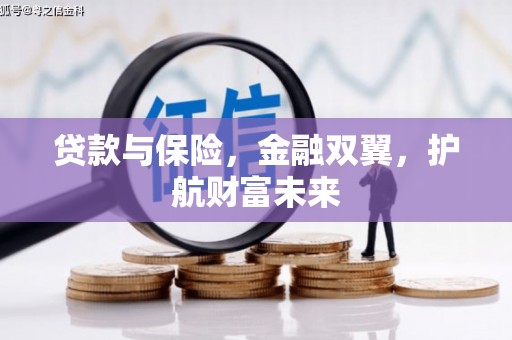 大武贷款与保险，金融双翼，护航财富未来