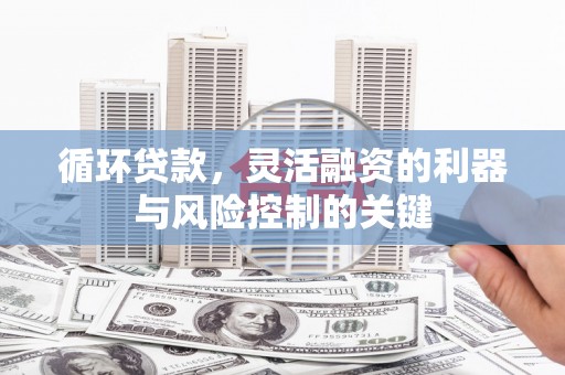 蓝田循环贷款，灵活融资的利器与风险控制的关键