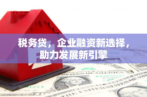 海兴税务贷，企业融资新选择，助力发展新引擎